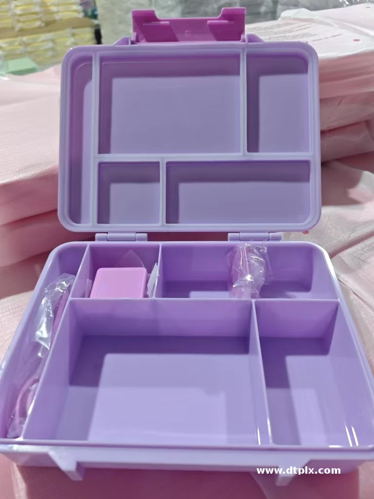 Aohea 2024 Leak Proof  Newest Multi Compartment Printed Plastic Small Lunch Box  BPA Free Bento Snack Box for Kids and Students