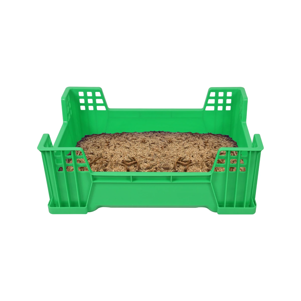 QS Unibody Molded High Impact Resistance Offset Stacking Insect Rearing Container for Commercial Production