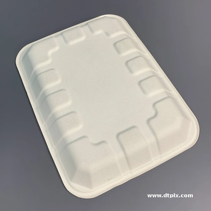 11*8 Inch Biodegradable Bagasse Food Tray for Takeaway Eco-Friendly Disposable Plate for Food Packaging