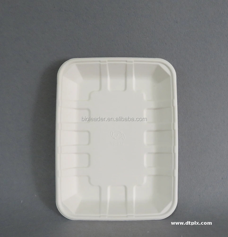 Rectangle Plate Eco-friendly Biodegradable Sugarcane Bagasse Food Disposable Tray