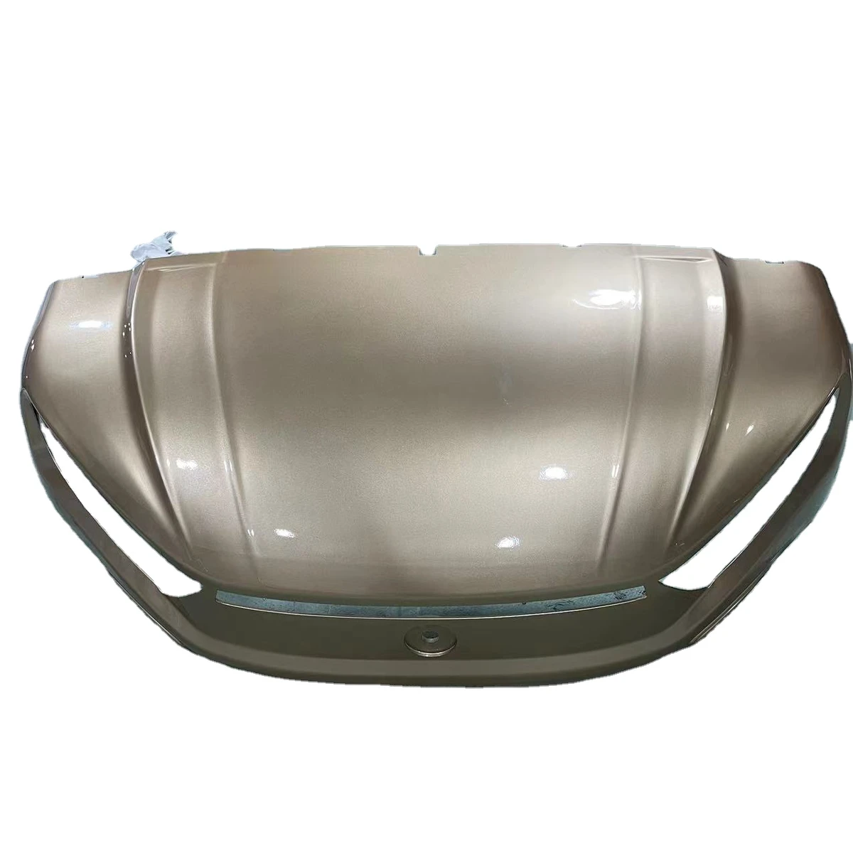 Custom Vacuum Forming Glossy Golf Cart DS Body Front Cowl Parts Plastic Car Parts