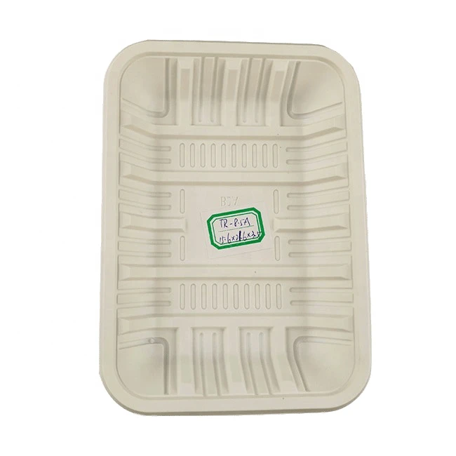 EcoNewLeaf 8.5 INCH Disposable Takeaway Food Tray