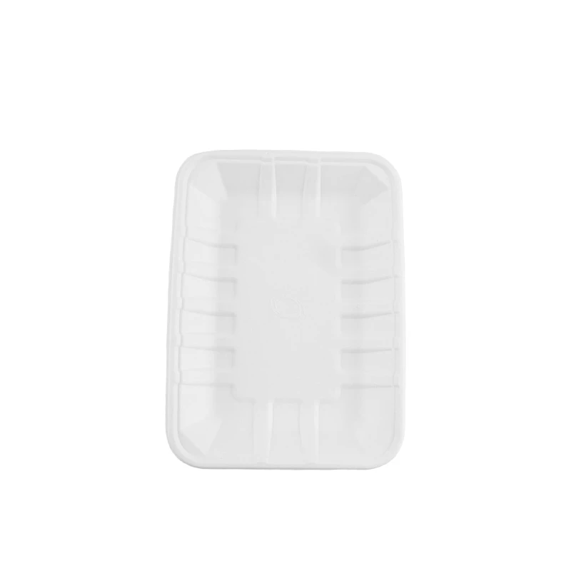 Sustainable Sugarcane Tray Leak Resistant and Compostable