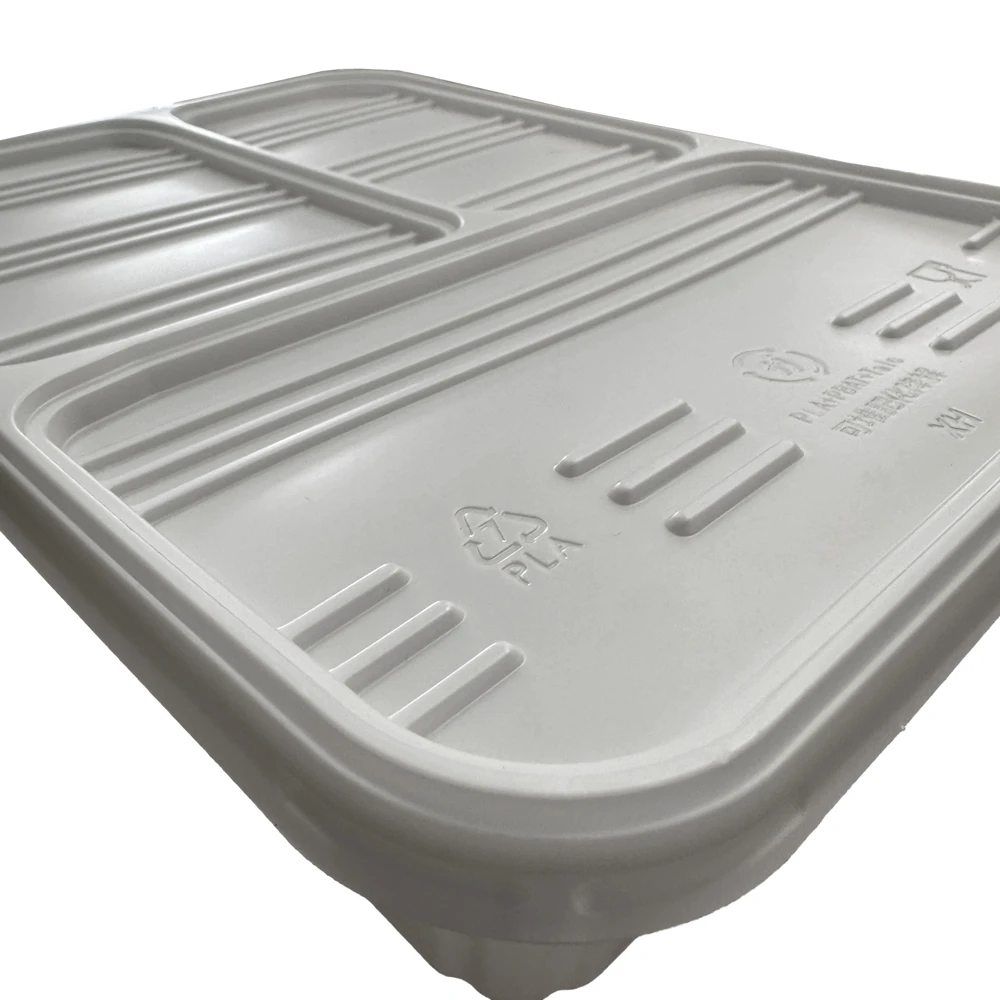 Three-compartment PLA Disposable Tiffin Insulated Plastic Kids Bento Compostable Lunch Box Set Takeaway Food