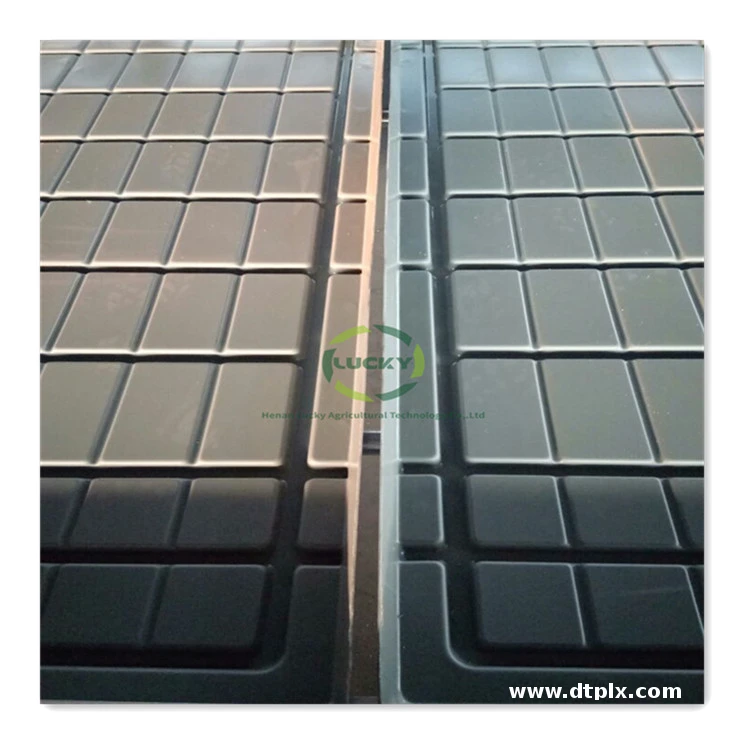 Abs Food Used Greenhouse Sale Flood and Drain Growing Commercial Grade Rolling Benches for Greenhouse Grow Table