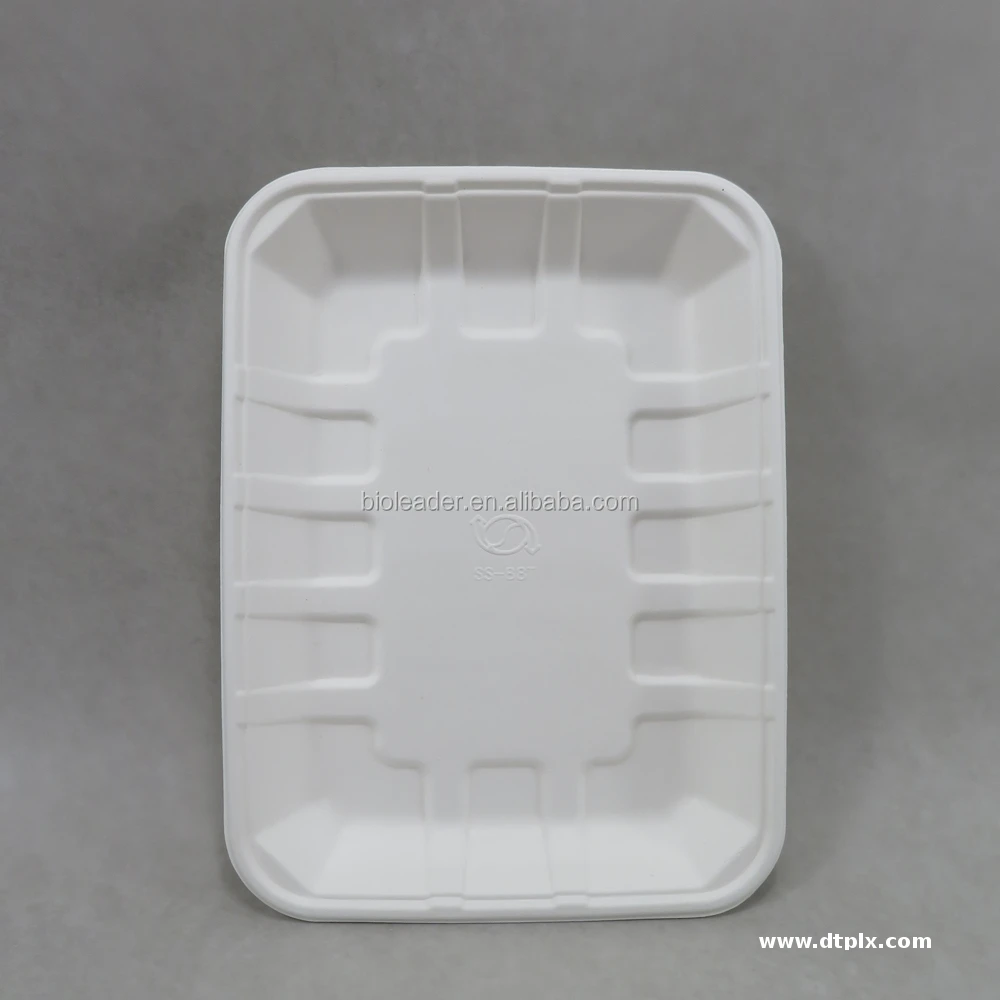 Biodegradable Sugarcane Bagasse Pulp Tray Unbleached Plate Dish for Party Eco-Friendly Molded Tray