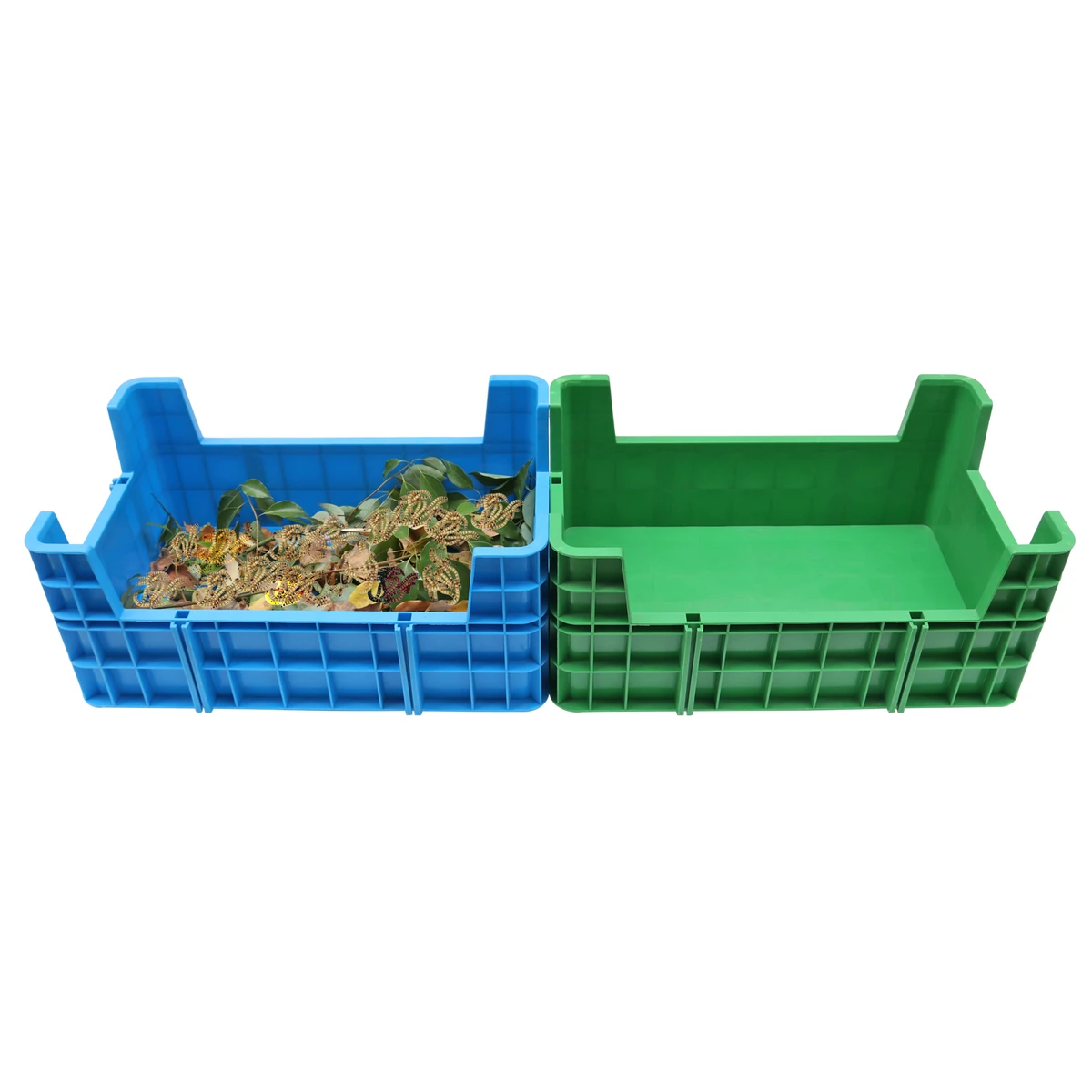 QS Customized Unique 100% Pp Blue Food Grade Stackable New Black Soldier Fly Insect 700*450*310mm Bsf Breeding Box for Mealworm