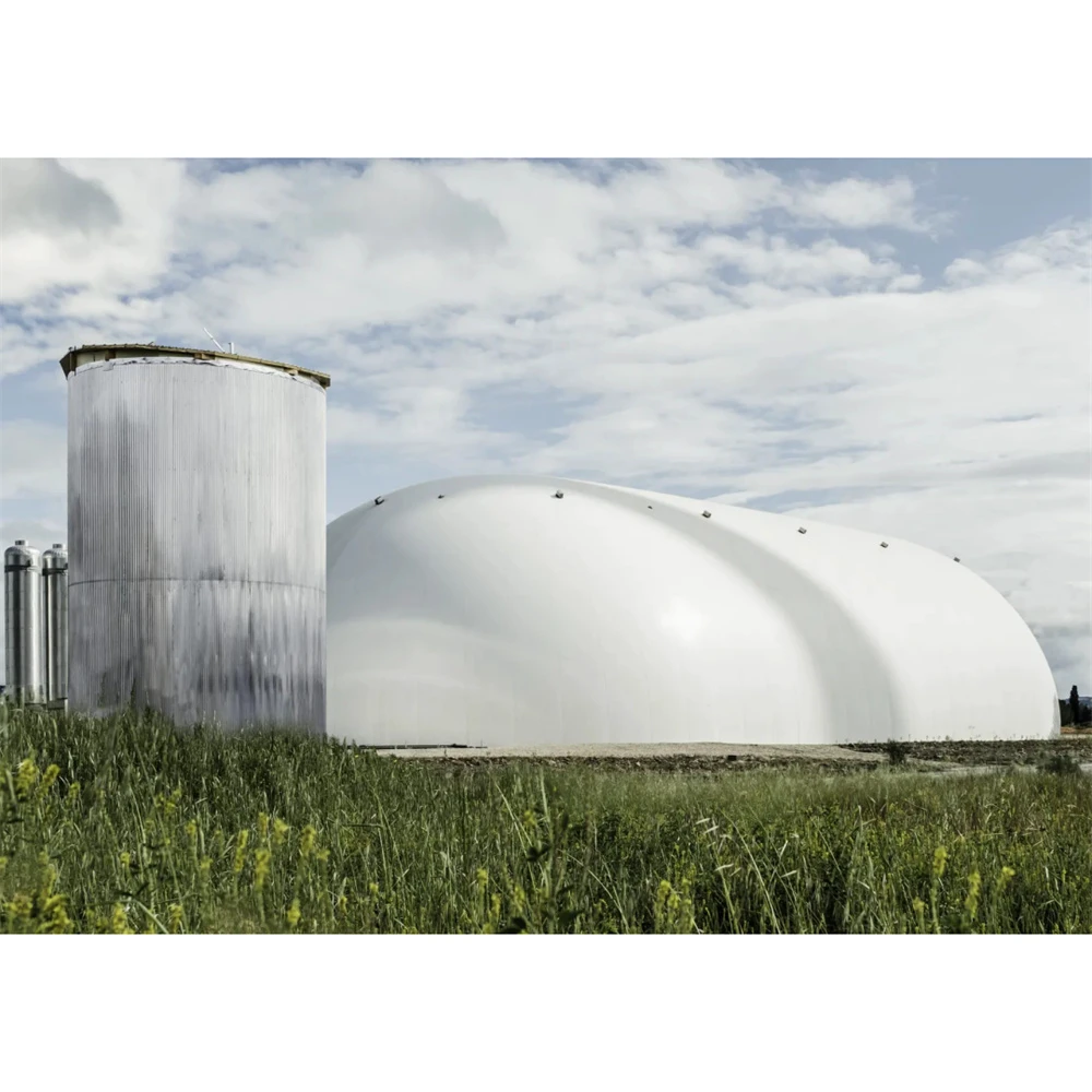 Cheap Energy Storage System Solar Low Cost 1Mwh 2Mwh 5Mwh CO2 Renewable Energy Storage Companies for Thermal Power Plants