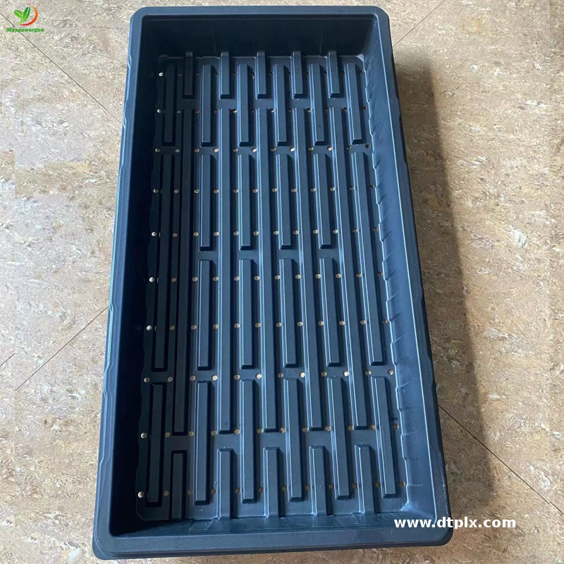 Hydroponic 1020 Flat Paddy Microgreens Seeding Tray 60x30 Nursery for Wheatgrass , Fodder, Rice ,sprouts ,vegetable