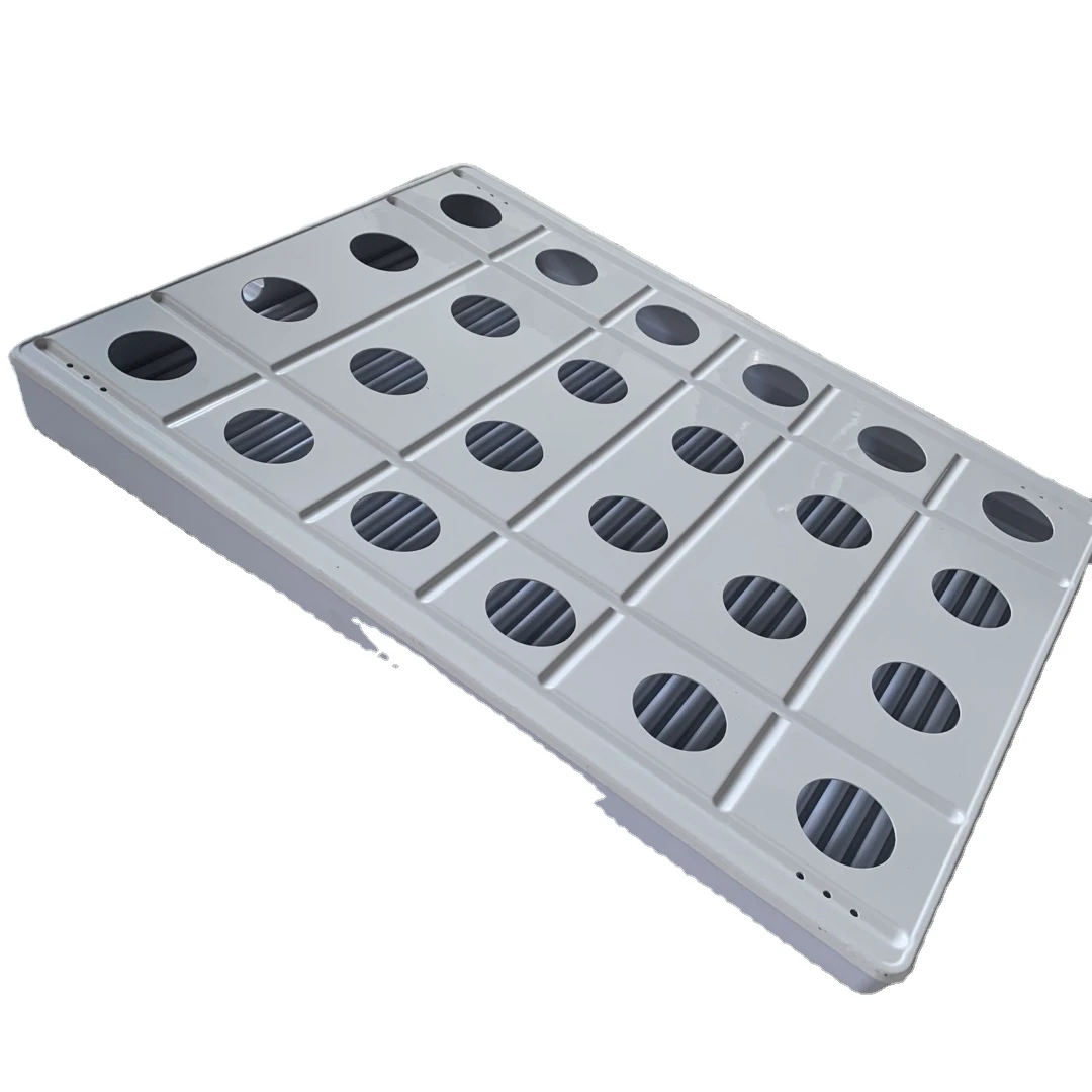 Custom Vacuum Formed ABS Plastic Seeding Tray with Holes for Factory Services